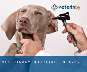 Veterinary Hospital in Avry