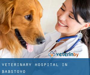 Veterinary Hospital in Babstovo
