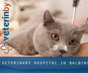 Veterinary Hospital in Balbins