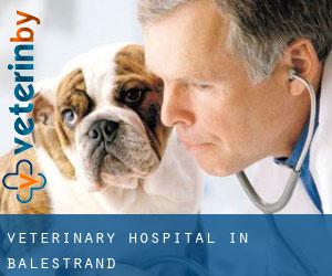 Veterinary Hospital in Balestrand