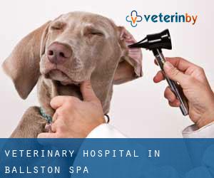 Veterinary Hospital in Ballston Spa