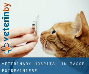 Veterinary Hospital in Basse Poidevinière