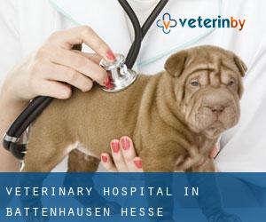 Veterinary Hospital in Battenhausen (Hesse)