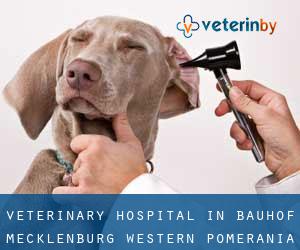 Veterinary Hospital in Bauhof (Mecklenburg-Western Pomerania)