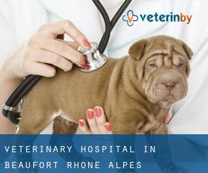 Veterinary Hospital in Beaufort (Rhône-Alpes)