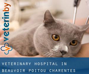 Veterinary Hospital in Beauvoir (Poitou-Charentes)