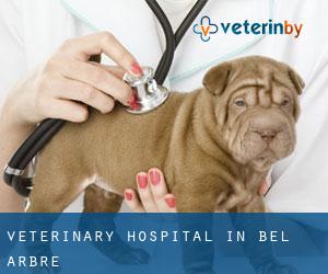 Veterinary Hospital in Bel Arbre