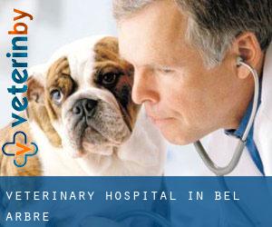 Veterinary Hospital in Bel Arbre