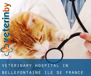 Veterinary Hospital in Bellefontaine (Île-de-France)