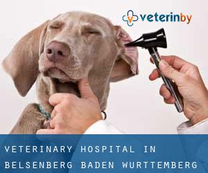 Veterinary Hospital in Belsenberg (Baden-Württemberg)