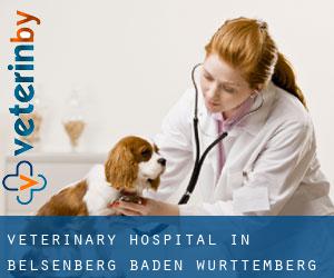 Veterinary Hospital in Belsenberg (Baden-Württemberg)