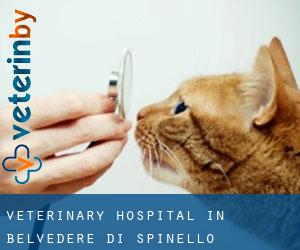 Veterinary Hospital in Belvedere di Spinello