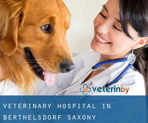 Veterinary Hospital in Berthelsdorf (Saxony)