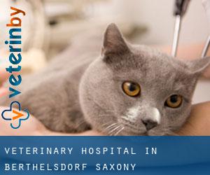 Veterinary Hospital in Berthelsdorf (Saxony)