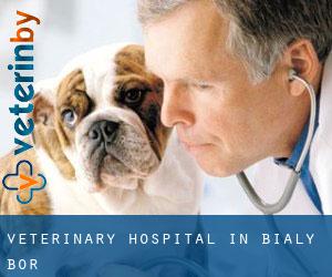 Veterinary Hospital in Biały Bór