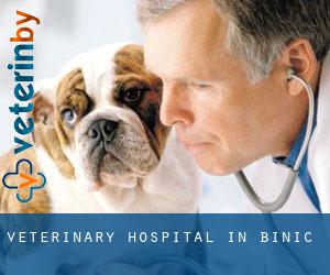 Veterinary Hospital in Binic