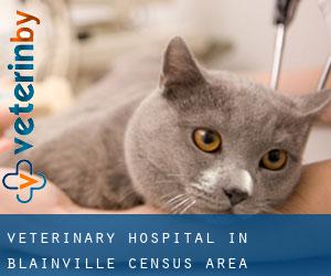 Veterinary Hospital in Blainville (census area)