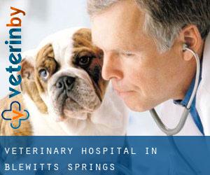 Veterinary Hospital in Blewitts Springs