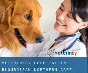 Veterinary Hospital in Bloubospan (Northern Cape)