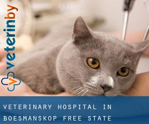 Veterinary Hospital in Boesmanskop (Free State)