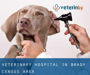 Veterinary Hospital in Brady (census area)