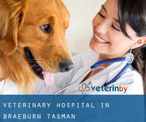 Veterinary Hospital in Braeburn (Tasman)