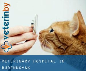 Veterinary Hospital in Budënnovsk