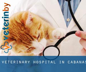 Veterinary Hospital in Cabanas