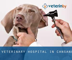 Veterinary Hospital in Cansano