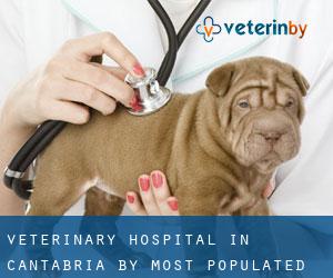 Veterinary Hospital in Cantabria by most populated area - page 2 (Province)