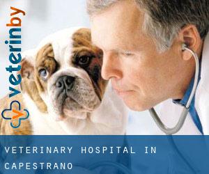 Veterinary Hospital in Capestrano