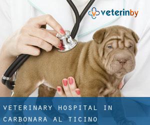 Veterinary Hospital in Carbonara al Ticino