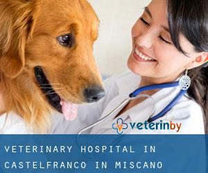 Veterinary Hospital in Castelfranco in Miscano
