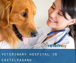 Veterinary Hospital in Castelpagano