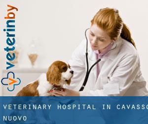 Veterinary Hospital in Cavasso Nuovo
