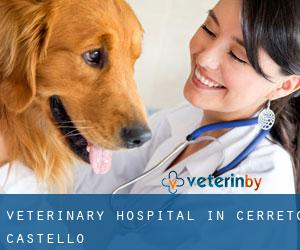 Veterinary Hospital in Cerreto Castello