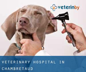 Veterinary Hospital in Chambretaud