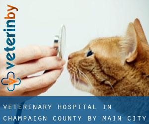 Veterinary Hospital in Champaign County by main city - page 1
