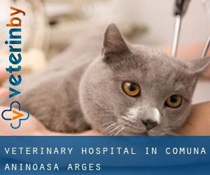 Veterinary Hospital in Comuna Aninoasa (Argeş)