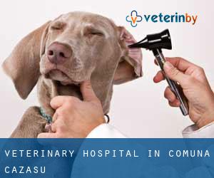Veterinary Hospital in Comuna Cazasu