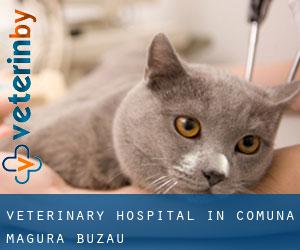 Veterinary Hospital in Comuna Măgura (Buzău)