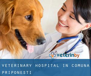 Veterinary Hospital in Comuna Priponeşti