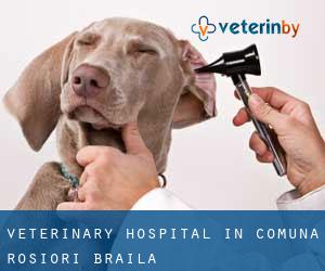 Veterinary Hospital in Comuna Roşiori (Brăila)