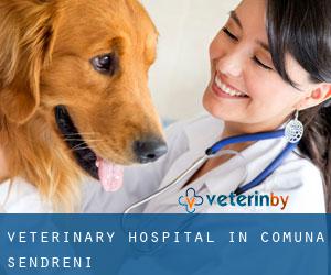 Veterinary Hospital in Comuna Şendreni