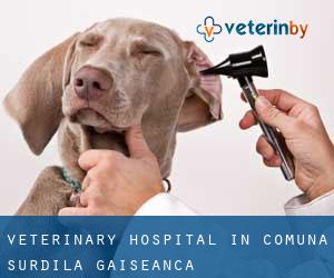 Veterinary Hospital in Comuna Surdila-Găiseanca