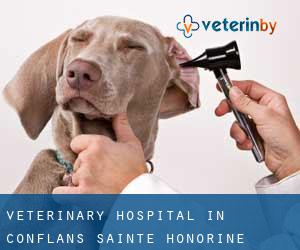 Veterinary Hospital in Conflans-Sainte-Honorine