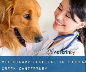 Veterinary Hospital in Coopers Creek (Canterbury)