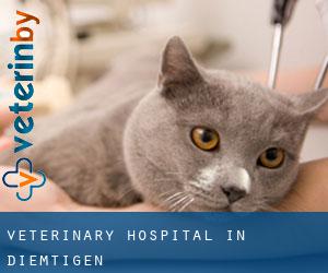 Veterinary Hospital in Diemtigen