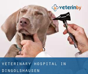 Veterinary Hospital in Dingolshausen