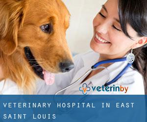 Veterinary Hospital in East Saint Louis